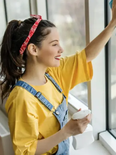 compressed_sv-image2