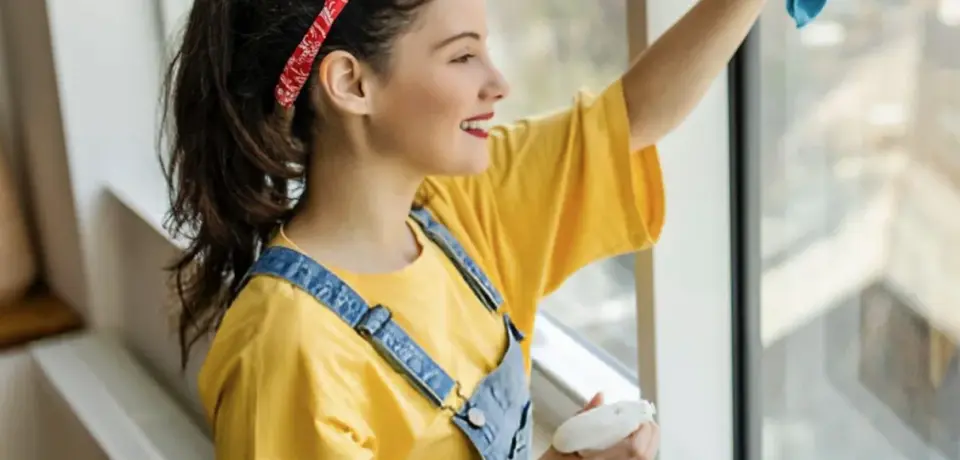 compressed_sv-image2